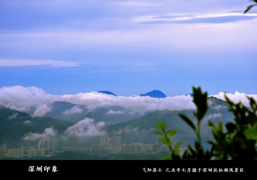 危险的社会