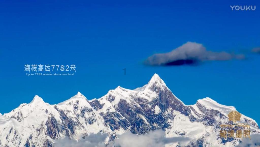 苏菲亚安伯时装秀