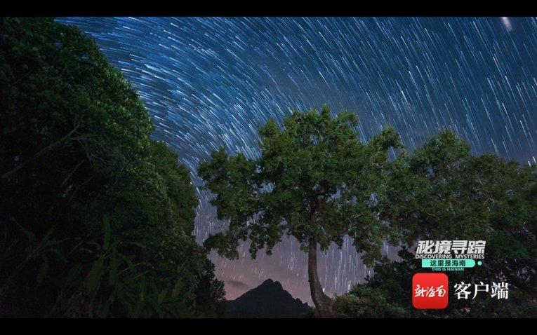 逗小猴开心系列165
