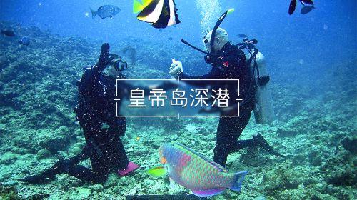 小猫钓鱼正版下载中文版