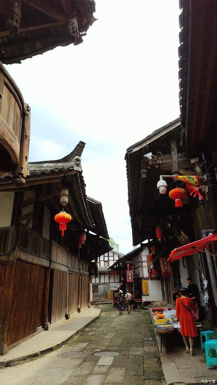 2700亩碧根果、36头大象……睢宁这个村瞒不住了!
